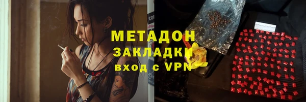 индика Алексин