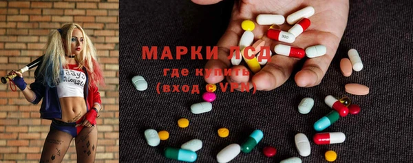 индика Алексин