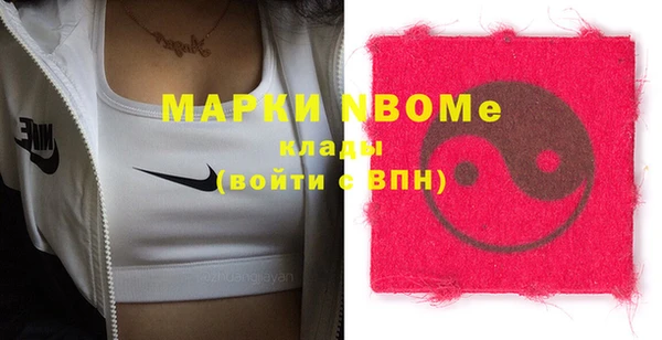 индика Алексин