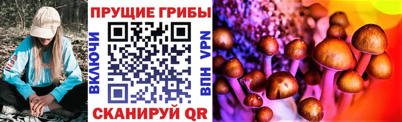 Галлюциногенные грибы ЛСД  гидра как зайти  Гдов 